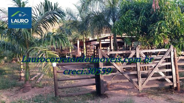 Fazenda com 29 Hectares à 28 km de Teófilo Otoni-MG. - Foto 6