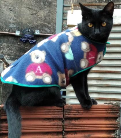 Roupinha pra pet