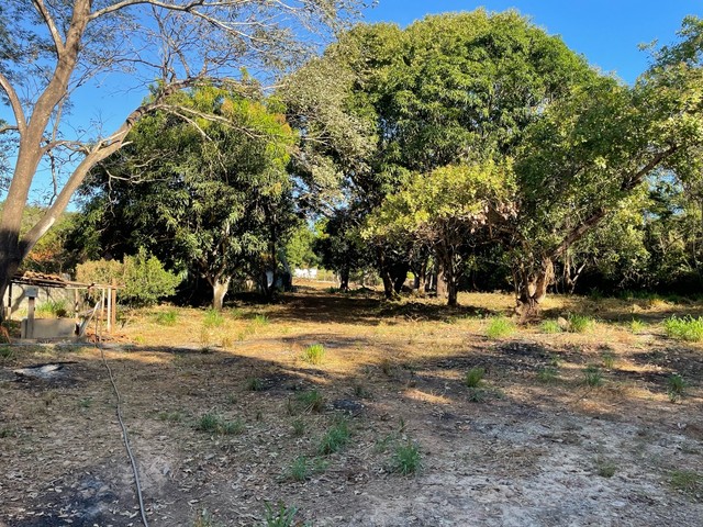 Terreno comercial na Av João XXIII  - Foto 3