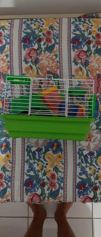 Gaiola para hamster completa - Foto 2