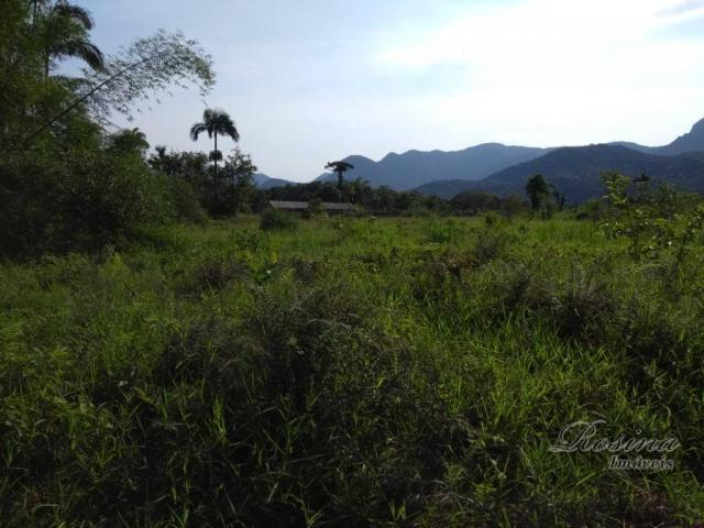 Área à venda, 22967 m² por r$ 210.000 - américa de baixo - morretes/pr - Foto 9
