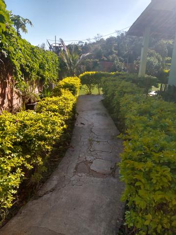Vendo