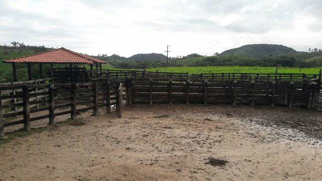 Fazenda em buriticupu - Foto 15
