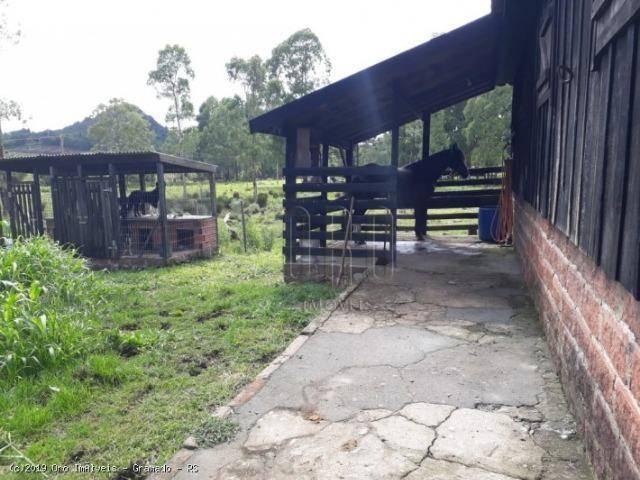 Sítio à venda, 4 m² por r$ 2.156.000 - serra grande - gramado/rs - Foto 11
