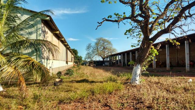 Galpão em area de 22.000,00 m² toda murada com guarita Proximo Br dos Imigrantes - Foto 12