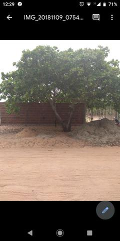Terreno - Foto 2