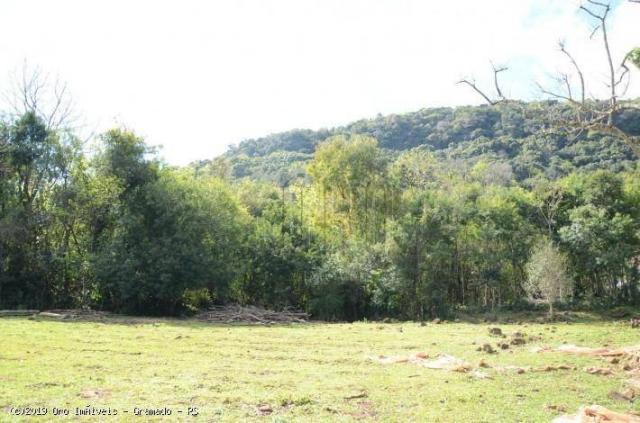 Sítio à venda, 45000 m² por r$ 897.000,00 - linha bonita - gramado/rs - Foto 11
