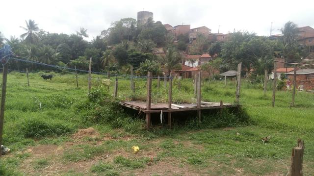 Vende se terreno