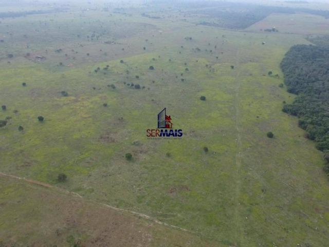 Fazenda à venda, por R$ 4.000.000 - São Francisco do Guaporé/Ro - Foto 8