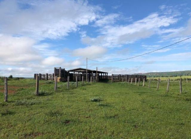 Fazenda em Nova Marilândia 206 alquers - Foto 8