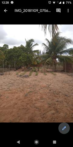 Terreno