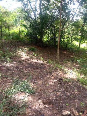 Venda - Foto 11