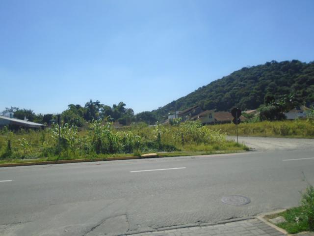 Terreno para alugar em America, Joinville cod:08039.001 - Foto 7