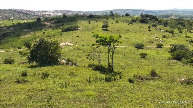 Vendo 64 h na PE 87 a 4 km do centro de Gravatá PE - Foto 5