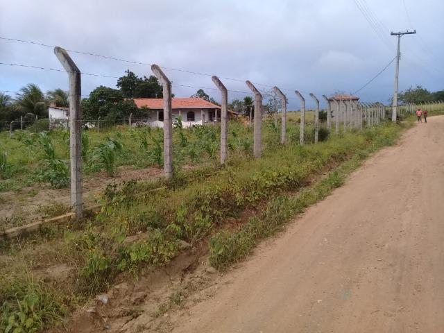 Excelente sítio, com casa sede e casa de caseiro na região de Santo Estevão Bahia - Foto 14