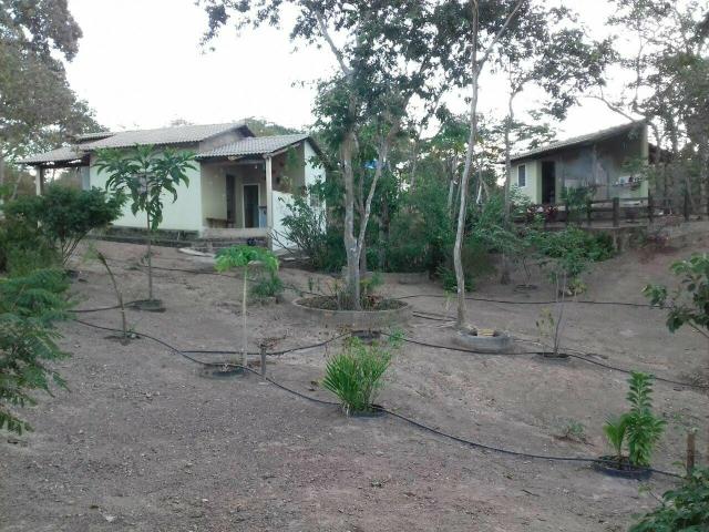 Chácara 3 hectares - Foto 3