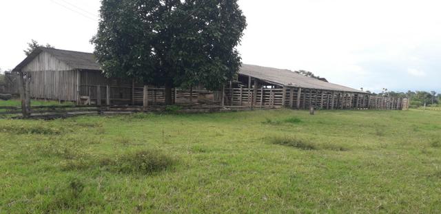 Fazenda bem estruturada - Foto 14