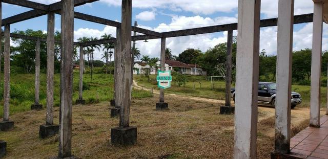 Camacan. Fazenda de Cacau com 430 Hectares. Rica em água - Foto 17