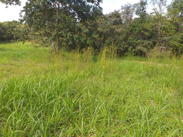 Sitio Próximo da Cidade - Foto 10