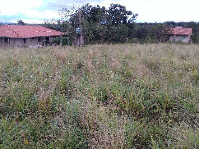 Excelente sítio, com casa sede e casa de caseiro na região de Santo Estevão Bahia - Foto 20