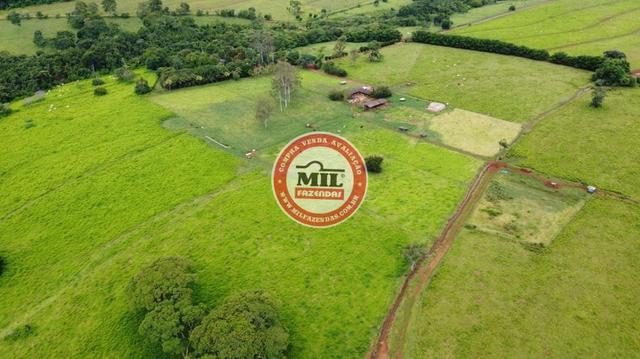 Fazenda de 15 alqueires a 37 km de Goiânia