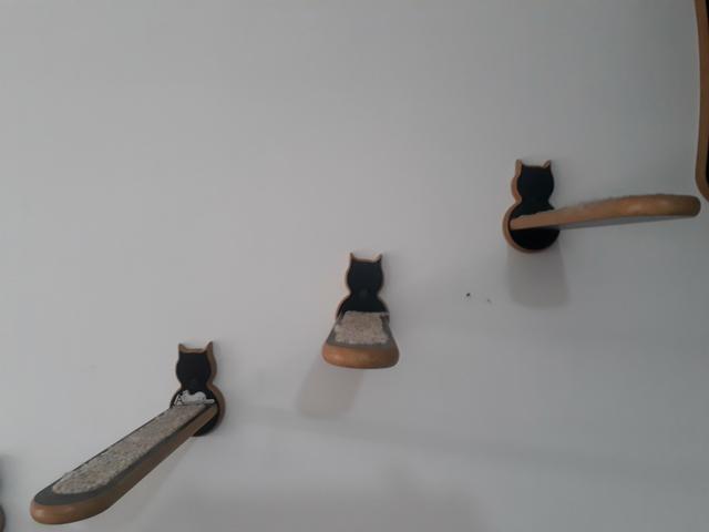 Nicho para gatos - Foto 5