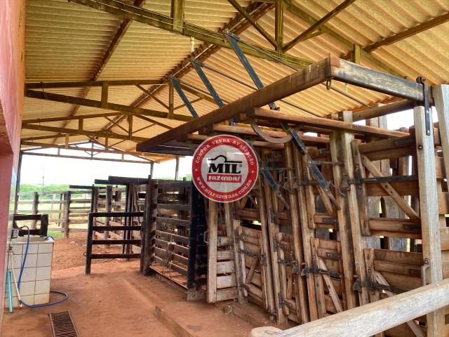 Fazenda de 15 alqueires a 37 km de Goiânia - Foto 7