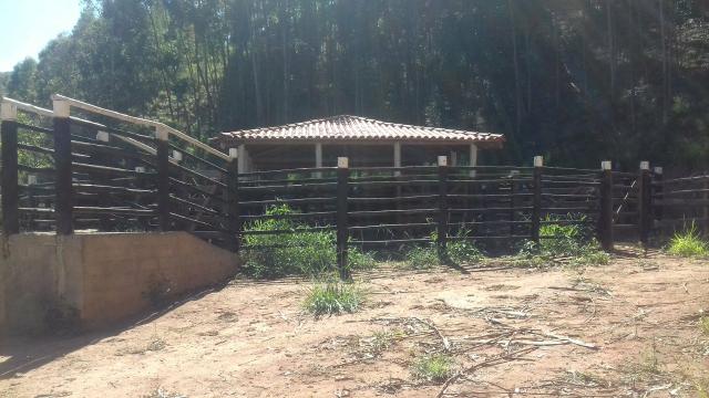 Fazenda em Minas Gerais - Foto 2