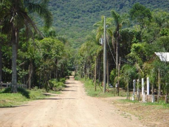 Sitio em Maquine - Foto 7