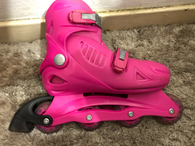 olx patins porto alegre