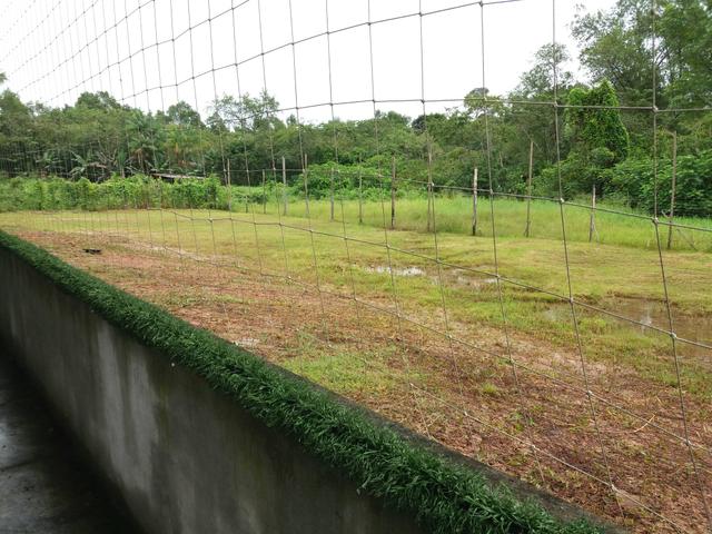 Oportunidade: Terreno Preço de ocasião com 17.000m2 na Nova Independência - Foto 6