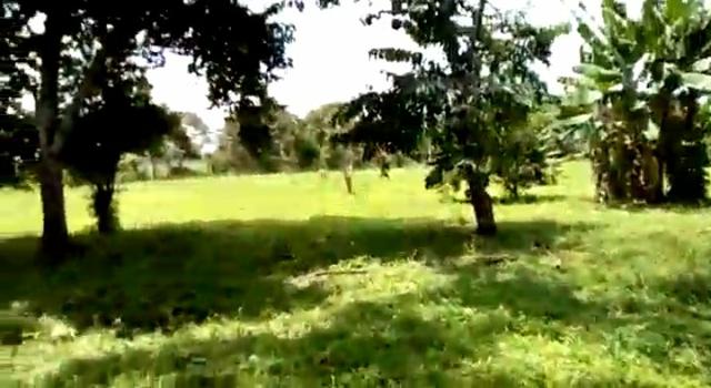 Chácara no Vila Acre - Foto 3