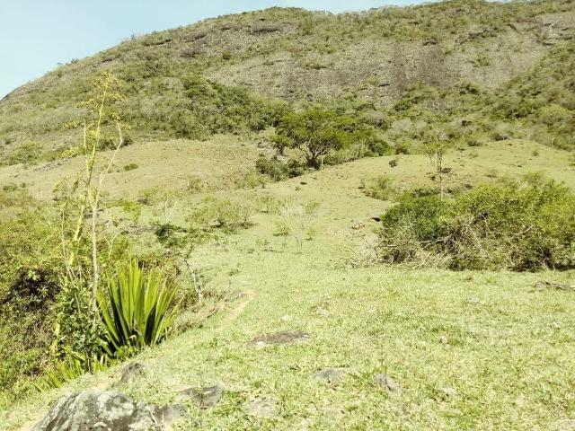 Sitio com nascente dentro e Rio - Foto 3