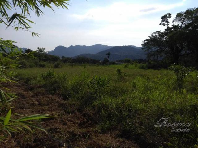 Área à venda, 22967 m² por r$ 210.000 - américa de baixo - morretes/pr - Foto 13