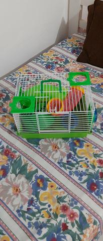 Gaiola para hamster completa