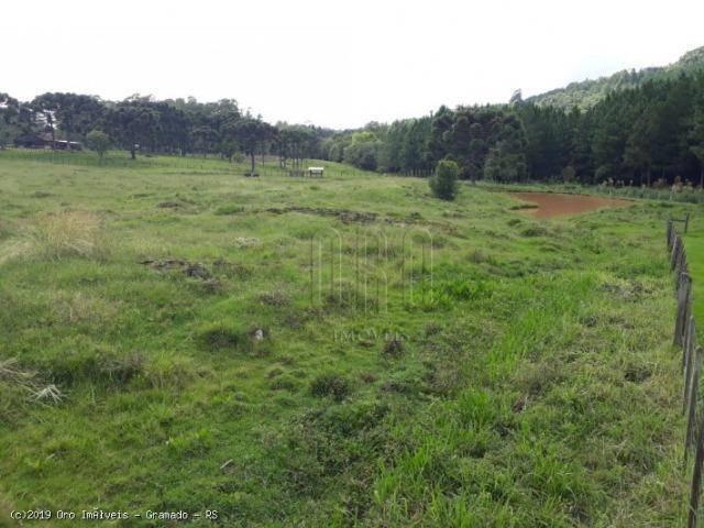 Sítio à venda, 4 m² por r$ 2.156.000 - serra grande - gramado/rs - Foto 14