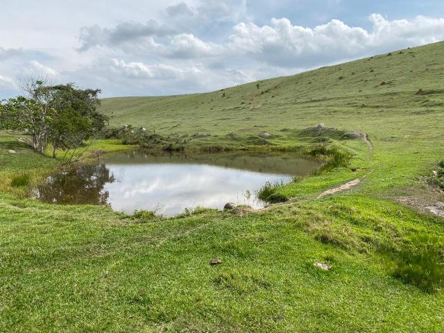 Lotes de terrenos com 5 mil metros - ideal para sua chacara,preço indiscutivel!!! - Foto 6