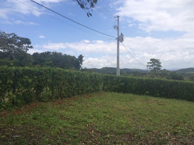 Lotes no Condomínio Alameda dos Ipês em Bonança - Moreno - 640m² cada cada - Foto 2
