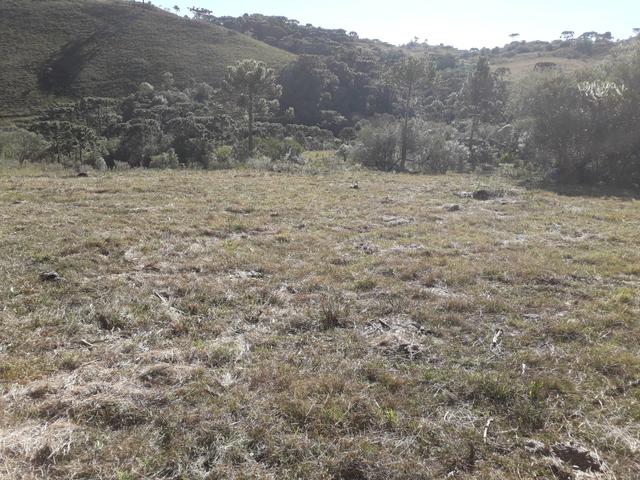 Terreno em Urupema - Foto 11