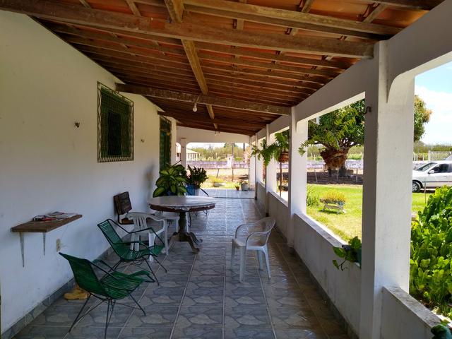 Granja com 5.000 metros quadrados. casa com 3 quarto. murada - Foto 4