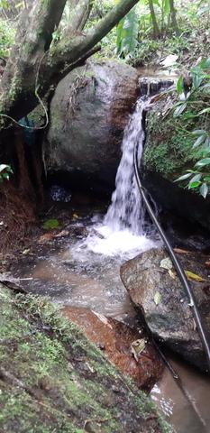 Chácara - Terreno - Foto 5