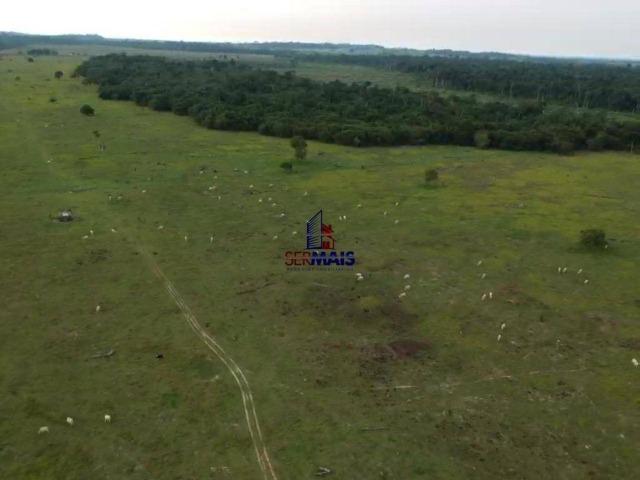 Fazenda à venda, por R$ 4.000.000 - São Francisco do Guaporé/Ro - Foto 10