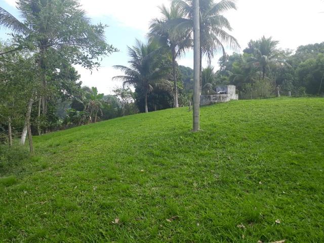Caetano Imóveis - Sítio de 4.600m² com localização privilegiada (c/ acesso asfaltado!) - Foto 3