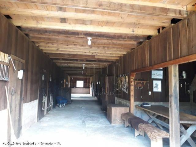 Sítio à venda, 4 m² por r$ 2.156.000 - serra grande - gramado/rs - Foto 5