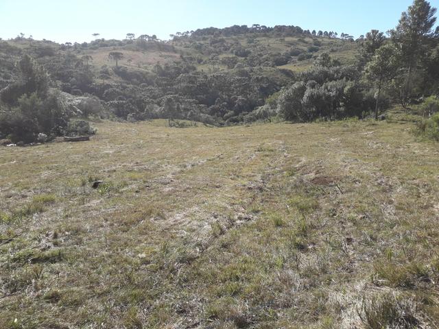 Terreno em Urupema - Foto 7