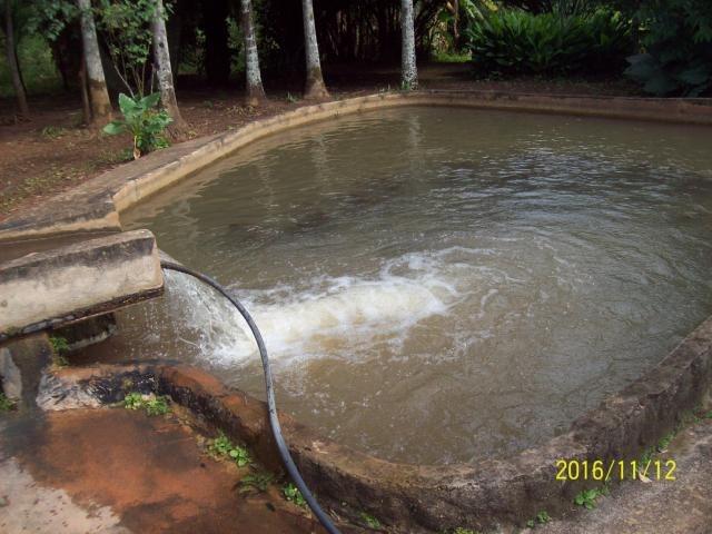 Chácara em Anicuns, 2 Alqueires e 37 Litros de Pura Beleza e Encantamento, Rica em Água - Foto 6