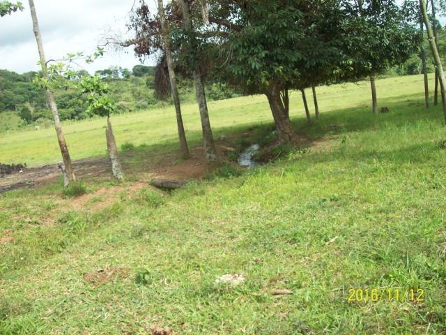Chácara em Anicuns, 2 Alqueires e 37 Litros de Pura Beleza e Encantamento, Rica em Água - Foto 14
