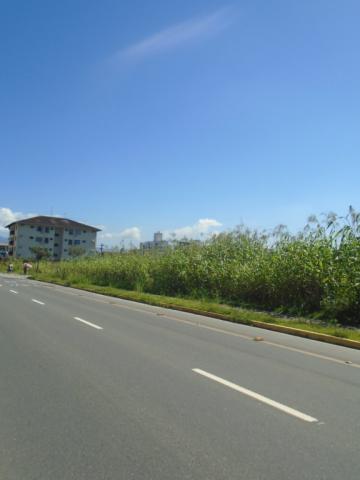 Terreno para alugar em America, Joinville cod:08039.001 - Foto 4