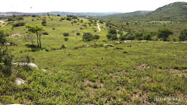 Vendo 64 h na PE 87 a 4 km do centro de Gravatá PE - Foto 13