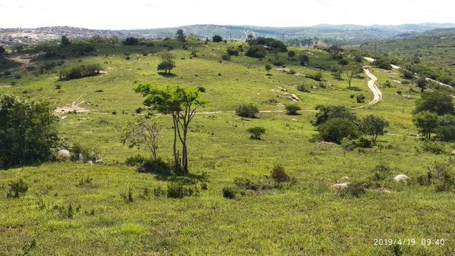 Vendo 64 h na PE 87 a 4 km do centro de Gravatá PE